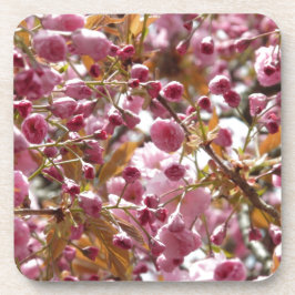 日本のさくらんぼ コースター