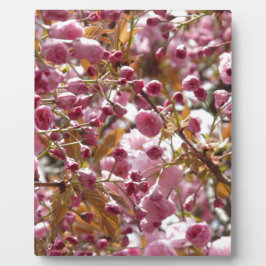 日本のさくらんぼ フォトプラーク