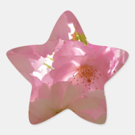 日本のさくらんぼ 星シール