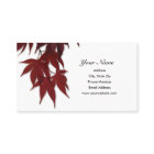 日本のなかえでの許可の名刺