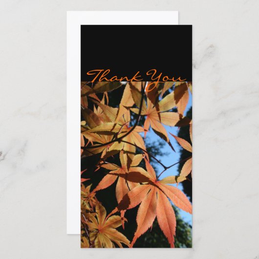 日本のなかえで2aは写真カード感謝していしています サンキューカード (正面/裏面)