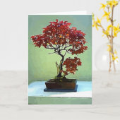 日本のなかえで カード (黄色い花)