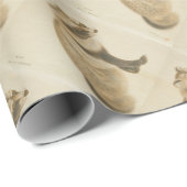 日本のなアライグマ ラッピングペーパー (ロールコーナー)