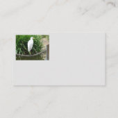 日本のなオレンジコイの魚のはす庭の池 名刺 (裏面)