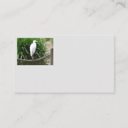 日本のなオレンジコイの魚のはす庭の池 名刺 (裏面)