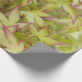 日本のなカエデの葉のギフト用包装紙 ラッピングペーパー (角)