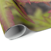 日本のなカエデの葉のギフト用包装紙 ラッピングペーパー (ロールコーナー)