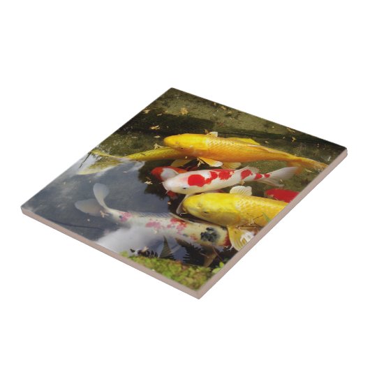 日本のなコイのコイの十分の水路 タイル (側面)