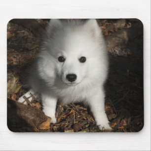 日本のなスピッツの子犬 マウスパッド