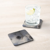 日本のなスピッツの睡眠の子犬のコースター コースター (右側)