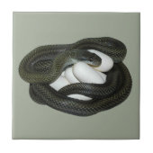 日本のなナメラ属、beautifullおよび思いやりがある母! タイル (正面)