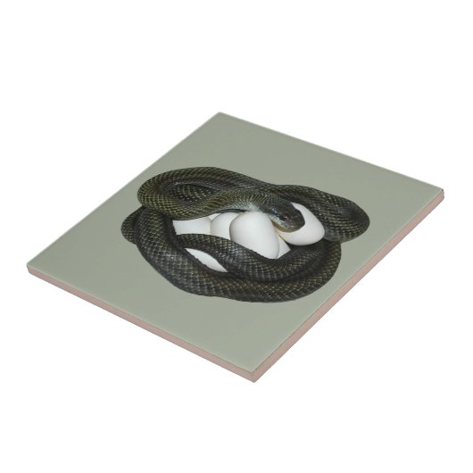 日本のなナメラ属、beautifullおよび思いやりがある母! タイル (側面)