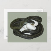 日本のなナメラ属、beautifullおよび思いやりがある母! ポストカード (正面/裏面)