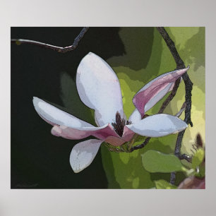 日本のなマグノリアの芸術のプリント-24x20 -またはより小さい ポスター