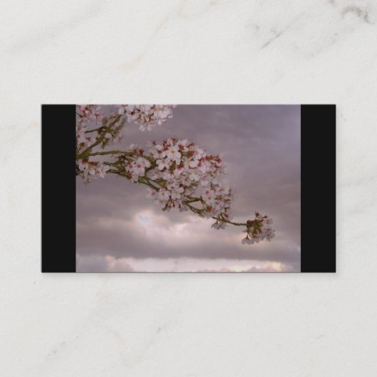 日本のな名刺 名刺 (正面)