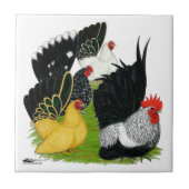 日本のな小型の四つ組 タイル (正面)