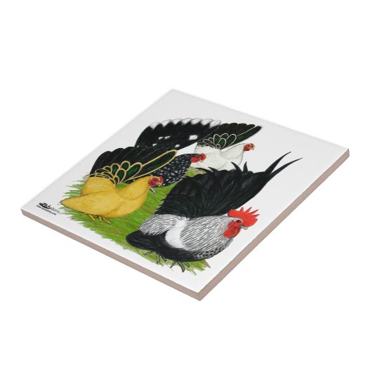 日本のな小型の四つ組 タイル (側面)