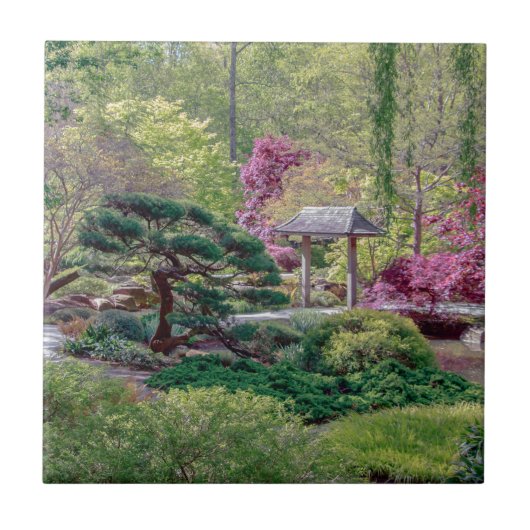 日本のな庭の写真のタイル タイル (正面)