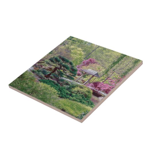 日本のな庭の写真のタイル タイル (側面)