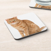 日本のな猫 コースター (左側)