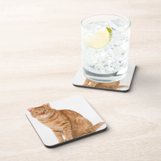 日本のな猫 コースター (右側)