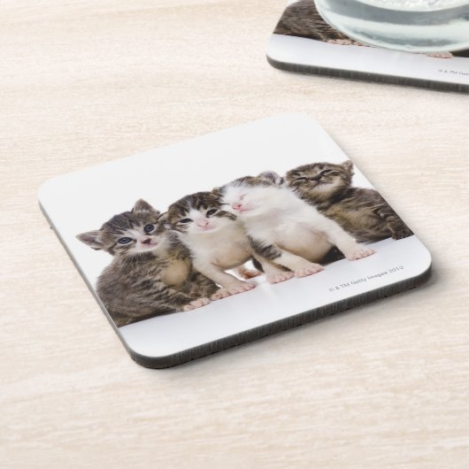 日本のな猫 コースター (左側)