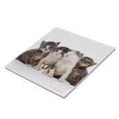 日本のな猫 タイル (側面)