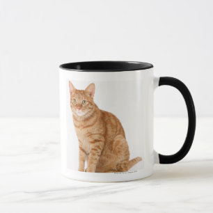 日本のな猫 マグカップ