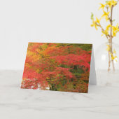 日本のな紅葉 カード (黄色い花)