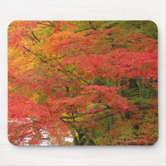 日本のな紅葉 マウスパッド (正面)