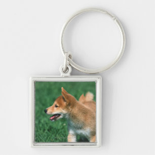 日本のな超小型のShiba キーホルダー