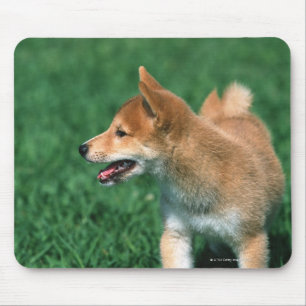 日本のな超小型のShiba マウスパッド