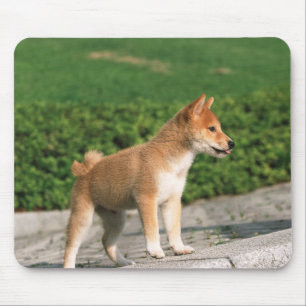 日本のな超小型のShiba 2 マウスパッド
