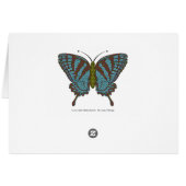 日本のアゲハチョウカード (裏面横)