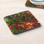 日本のカエデ秋の木葉の コースター (左側)