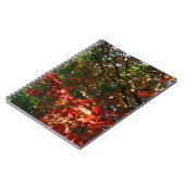 日本のカエデ秋の木葉の ノートブック (左側)