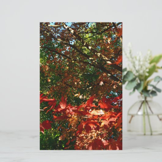日本のカエデ秋の木葉の 便箋 (スタンド正面)