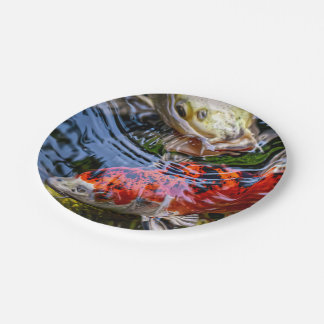 日本のコイ魚池 ペーパープレート