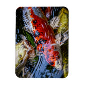 日本のコイ魚池 マグネット (縦)