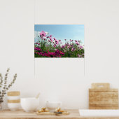 日本のコスモスの花 ポスター (キッチン)