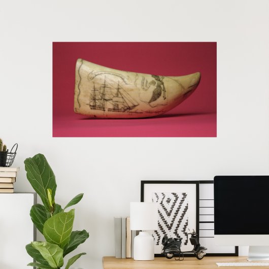 日本のスクリムショーの海岸のスーザン ポスター (ホームオフィス)