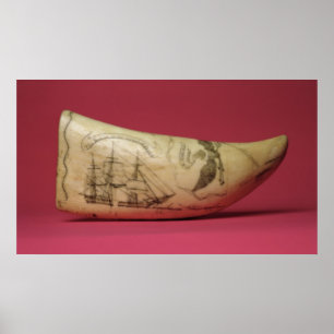 日本のスクリムショーの海岸のスーザン ポスター