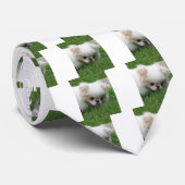 日本のチンパピー2.png ネクタイ (ロール)