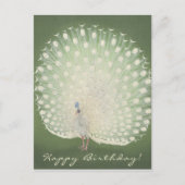 日本のファインアート |孔雀 |誕生日はがき ポストカード (正面)