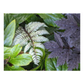 日本のペイントフェルンと葉の植物画 フォトプリント (正面)