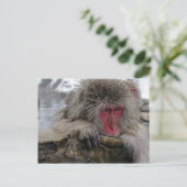 日本のリラックスの春 ポストカード (スタンド正面)