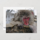 日本のリラックスの春 ポストカード (正面/裏面)