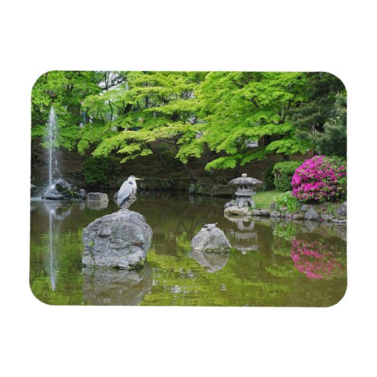 日本の京都。新緑の葉の中のアオサギ マグネット (横)