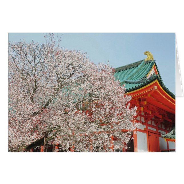 日本の京都。神道の桜 (正面横)