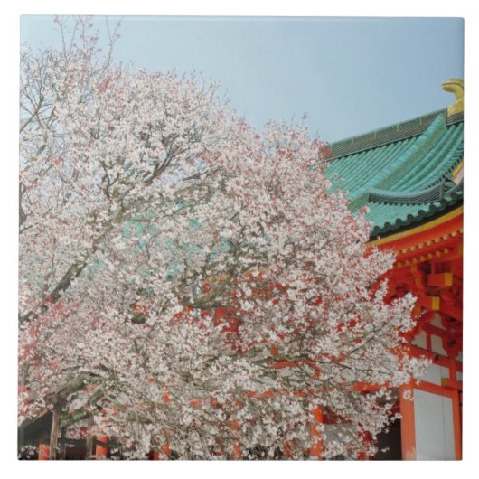 日本の京都。神道の桜 タイル (正面)